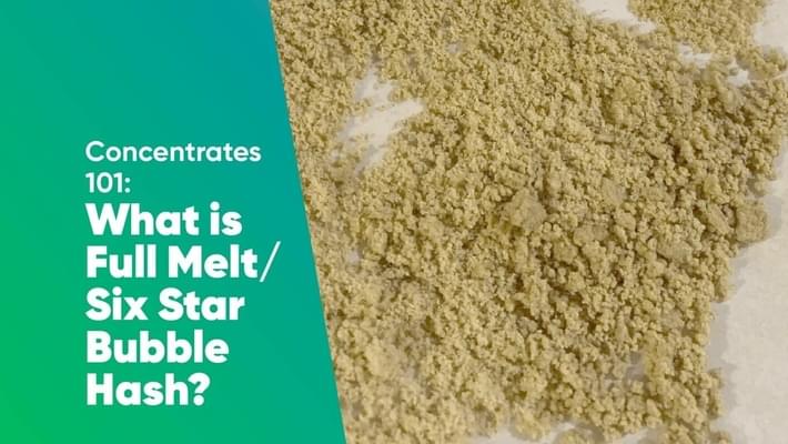 Concentrates 101: What is Full Melt Six Star Bubble Hash?