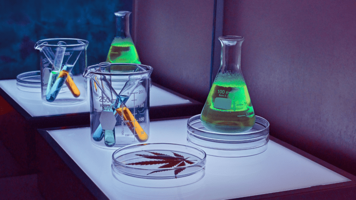 Top Six Biggest Cannabis Research Studies of 2021