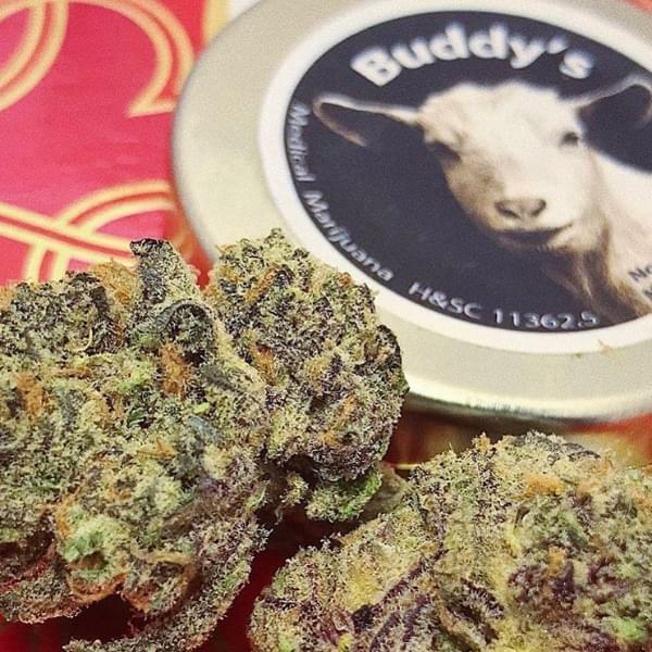 Buddy's Cannabis Patient Collective