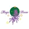 Magic FlowerThumbnail Image