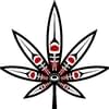The Kure Cannabis Society - ChilliwackThumbnail Image
