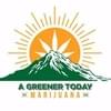 A Greener Today Marijuana - SeattleThumbnail Image