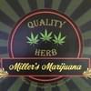 Miller's MarijuanaThumbnail Image
