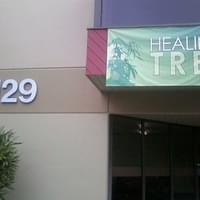 Healing Tree Thumbnail Image