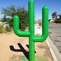 Green Acres LOOK FOR THE GREEN Cactus Thumbnail Image