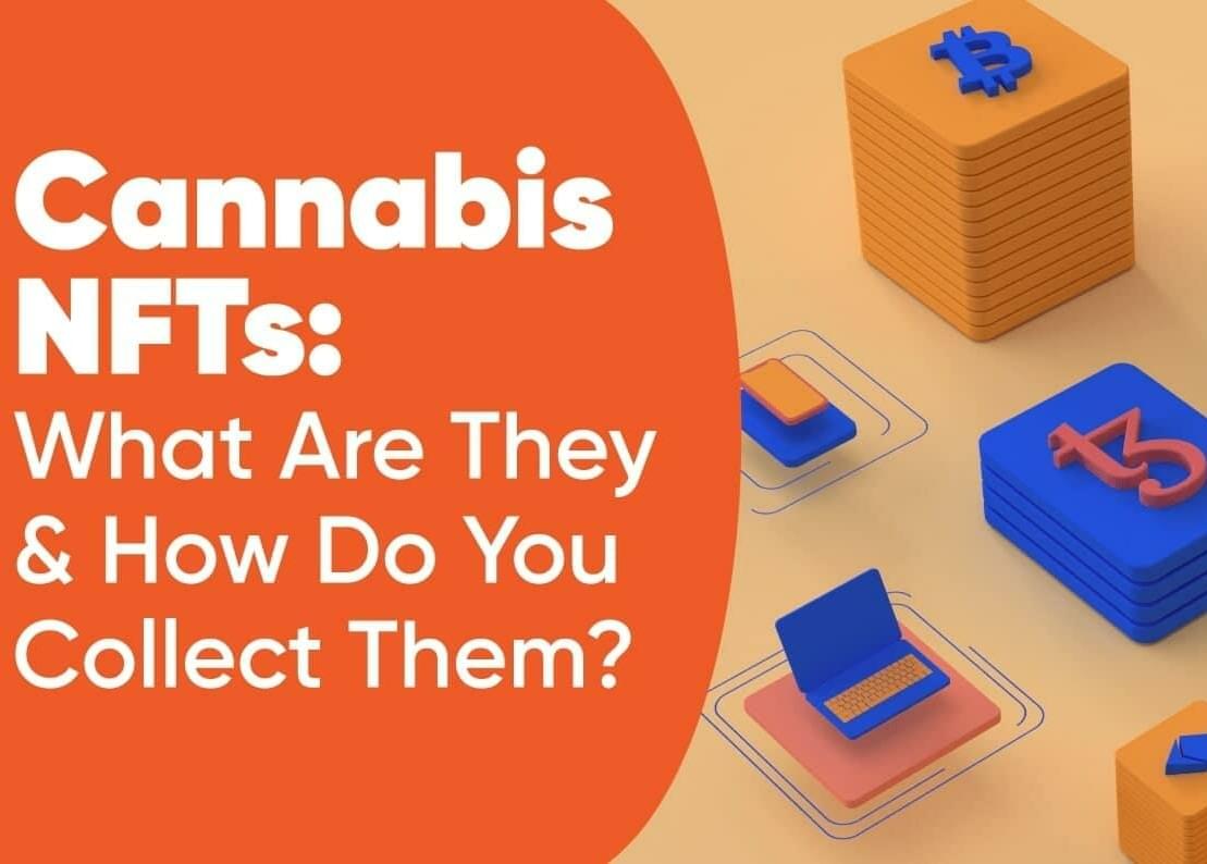 Cannabis NFTs: What Are They & How Do You Collect Them?