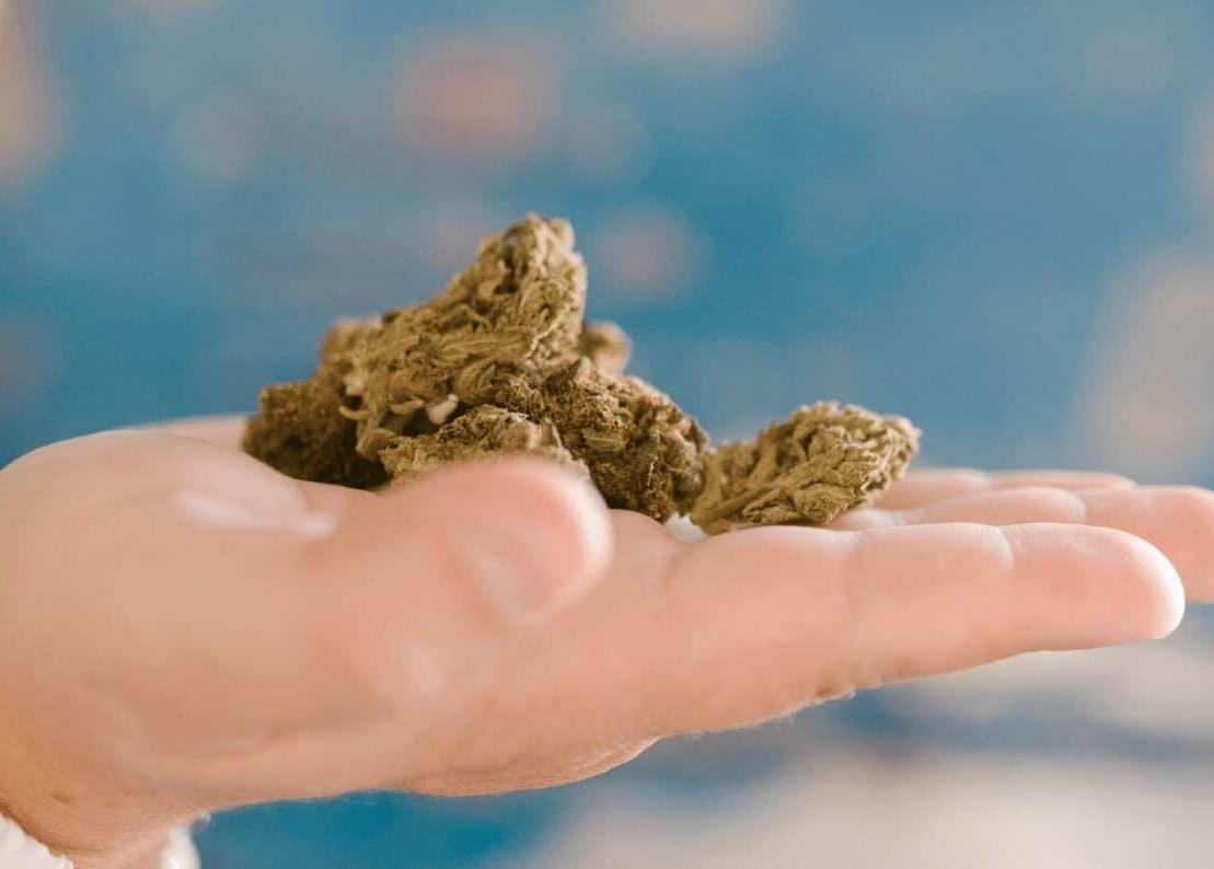 What's the Difference between Heirloom and Landrace Strains?