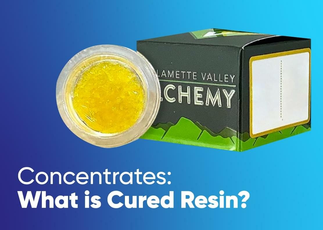 Concentrate 101: What is Cured Resin?