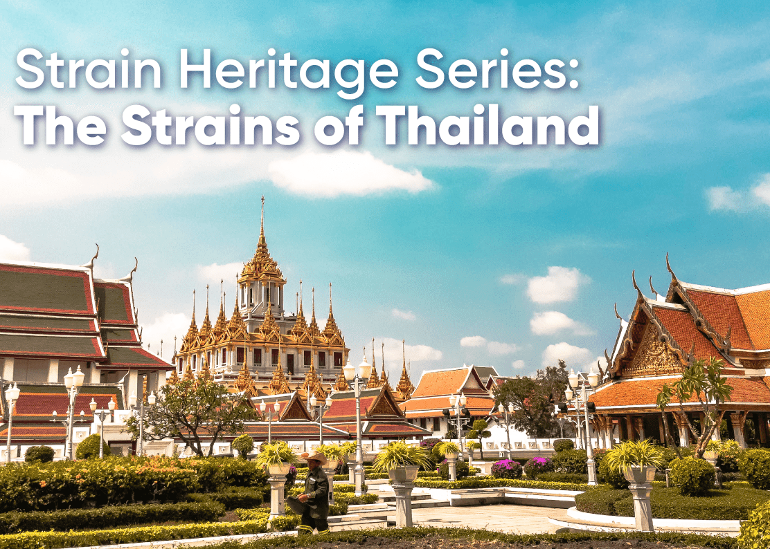 Strain Heritage Series: Strains of Thailand