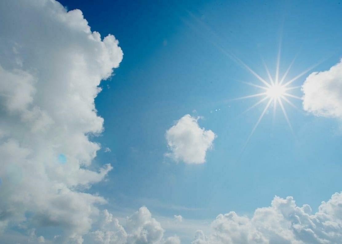 Sun-Grown Cannabis vs. Artificial Light