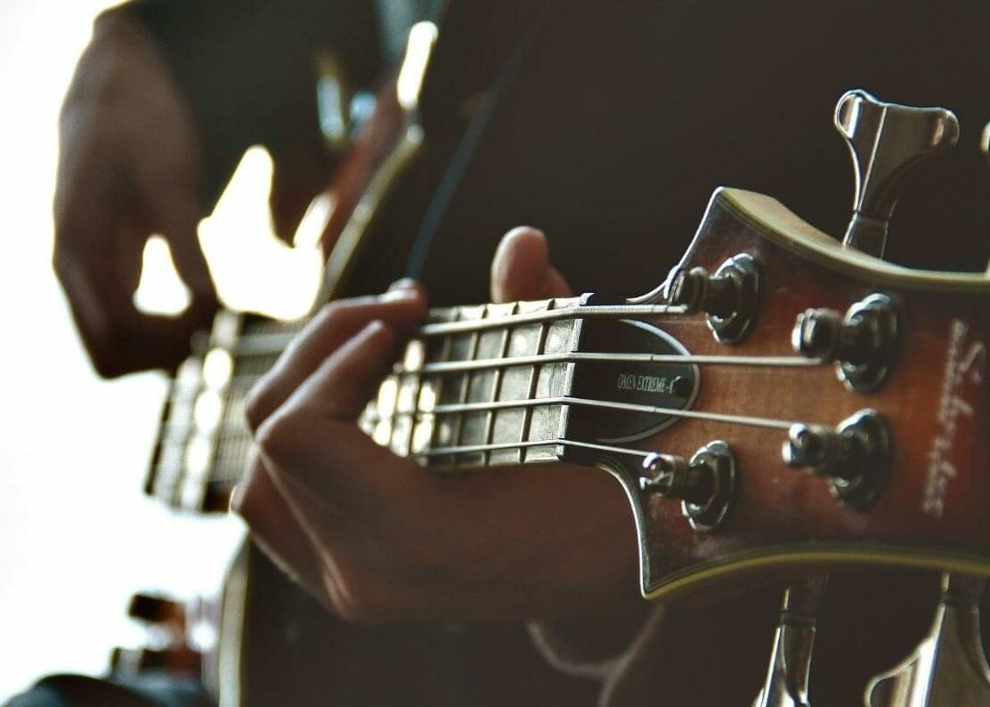 The Effects of Playing Live Music to Your Cannabis Plants