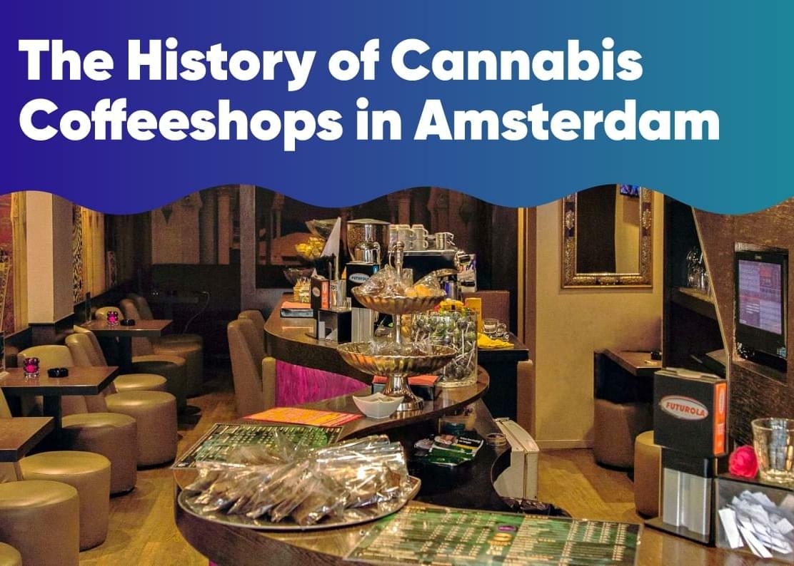 The History of Cannabis Coffeeshops in Amsterdam