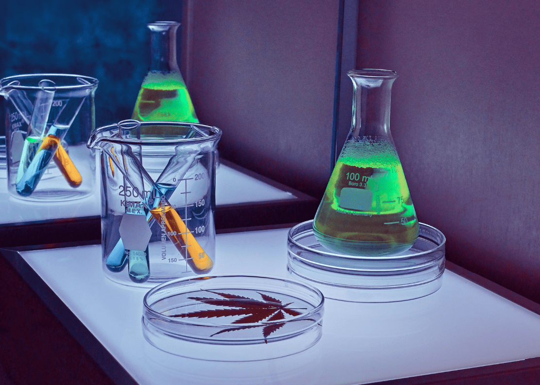 Top Six Biggest Cannabis Research Studies of 2021