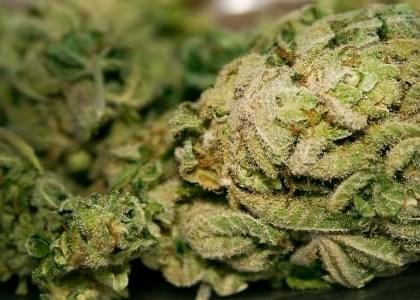 What is Decarboxylation? How to Unlock the Power of THC