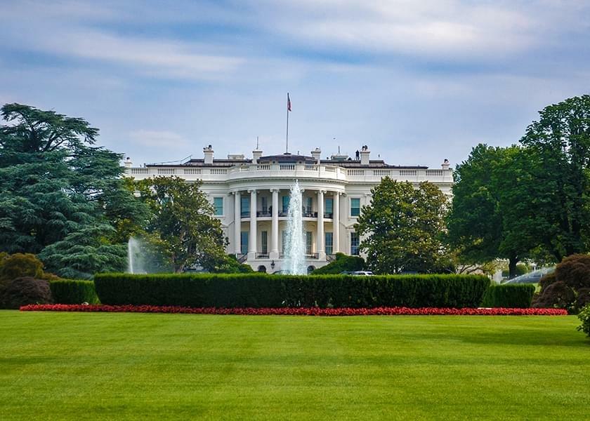 Where the 2020 Presidential Candidates Stand on Cannabis