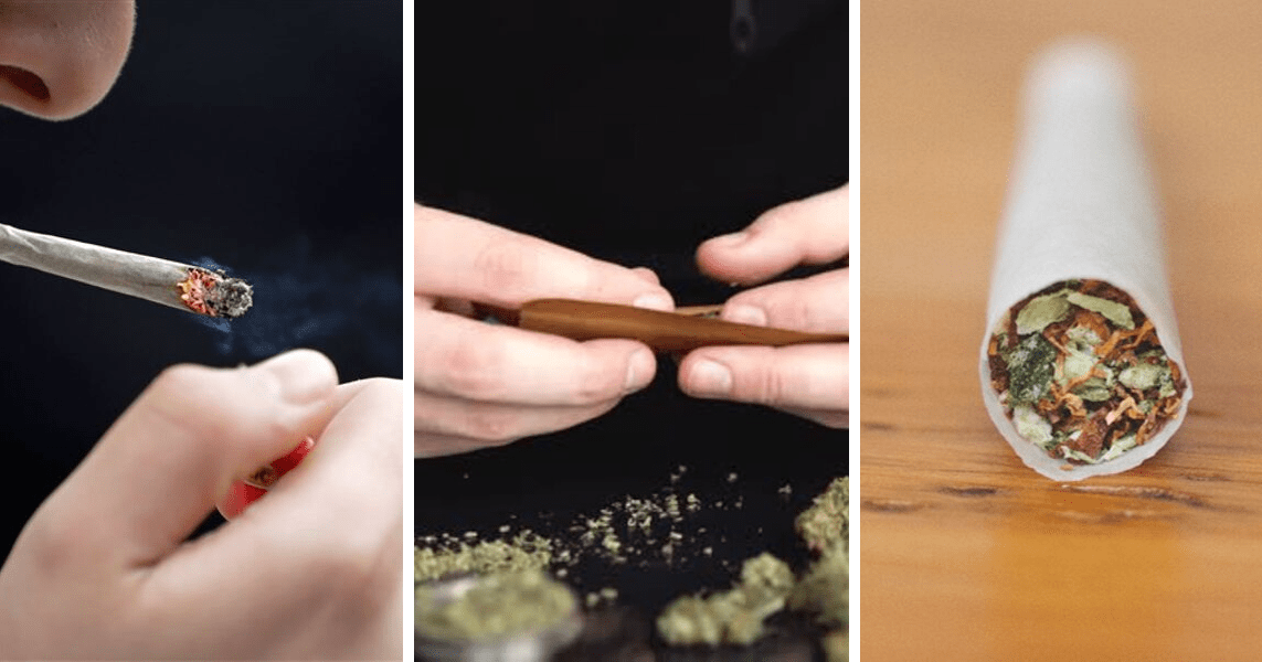 dominican republic tobacco leaf Dominican Seco Long Filler - Dominican Cigar Filler, Long Fillers