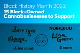 Black History Month 2023: 15 Black-Owned Cannabusinesses to Support