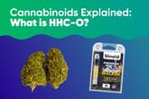 Cannabinoids Explained: What is HHC-O?
