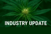 Cannabis Industry News - December 2025