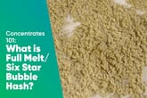 Concentrates 101: What is Full Melt Six Star Bubble Hash?
