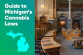 Guide to Michigan's Cannabis Laws