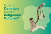 How is Cannabis Used in Indigenous Cultures?