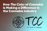 How The Color of Cannabis is Making a Difference in the Cannabis Industry