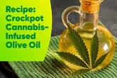 How to Make Cannabis-Infused Olive Oil with Crockpot