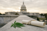Schedule III in DC: How Federal Rescheduling Could Finally Unlock the District's Cannabis Market