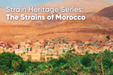 Strain Heritage Series: Landrace Strains of Morocco