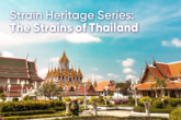 Strain Heritage Series: Strains of Thailand