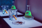 Top Six Biggest Cannabis Research Studies of 2021