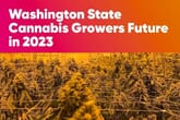 Washington State Cannabis: The Future of Growers in 2023