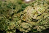 What is Decarboxylation? How to Unlock the Power of THC