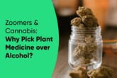 Zoomers & Cannabis: Why Pick Plant Medicine over Alcohol?
