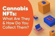 Cannabis NFTs: What Are They & How Do You Collect Them?