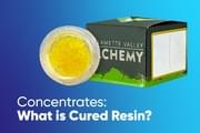 Concentrate 101: What is Cured Resin?