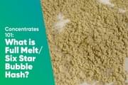 Concentrates 101: What is Full Melt Six Star Bubble Hash?