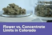Flower vs. Concentrate Limits in Colorado: Everything You Need to Know