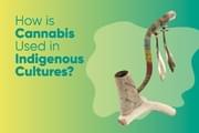 How is Cannabis Used in Indigenous Cultures?