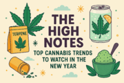 The High Notes: Top Cannabis Trends to Watch in the New Year