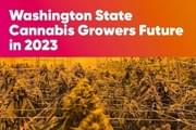 Washington State Cannabis: The Future of Growers in 2023