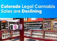 Colorado Legal Cannabis Sales Are Declining