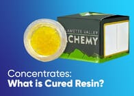 Concentrate 101: What is Cured Resin?