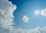 Sun-Grown Cannabis vs. Artificial Light