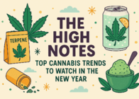 The High Notes: Top Cannabis Trends to Watch in the New Year