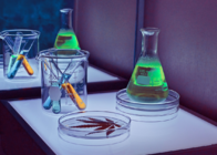 Top Six Biggest Cannabis Research Studies of 2021