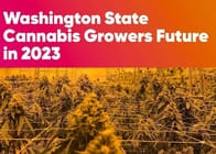 Washington State Cannabis: The Future of Growers in 2023