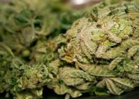 What is Decarboxylation? How to Unlock the Power of THC