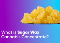 What is Sugar Wax Cannabis Concentrate?